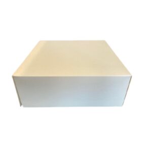 Taartdoos wit - 19X19X10cm