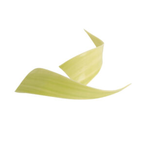 Chocolade waves groen - 12x3cm - 10 stuks