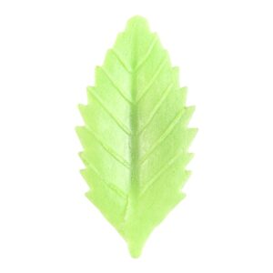 Hostie blaadjes lichtgroen - smal blad - 25 stuks